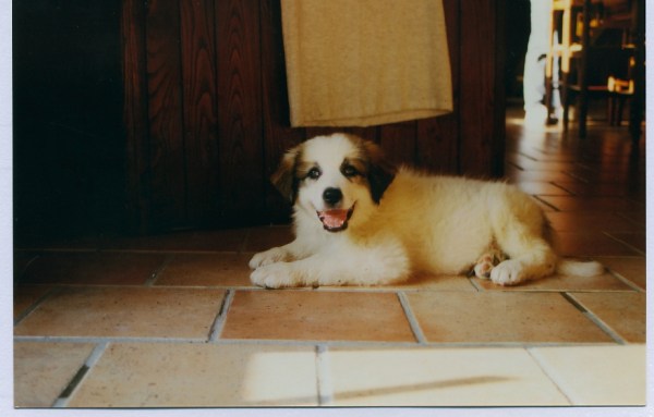 med_Perfekt geschminkt.jpg (600 x 383)